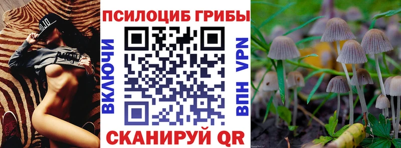 где купить наркоту  Электроугли  Псилоцибиновые грибы Cubensis 